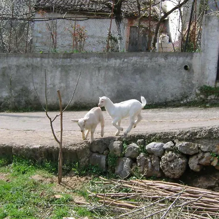 Nostos - Parnassos Lílaia
